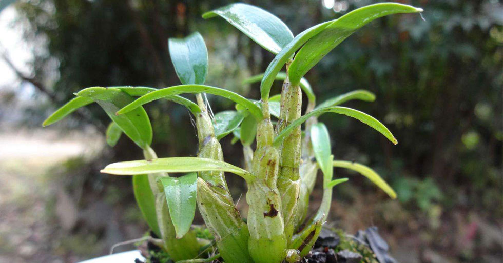 蕪湖財務代理記賬一站助力企業騰飛